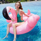 Adult-Size Flamingo & Swan Pool Float – Inflatable Ride-On Water Mount & Floating Lounge Bed